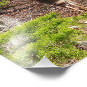 森の中の愛らしい鹿自然写真 フォトプリント (角)