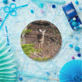 森の中の愛らしい鹿自然写真 ペーパープレート (パーティー)