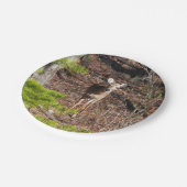 森の中の愛らしい鹿自然写真 ペーパープレート (アングル)