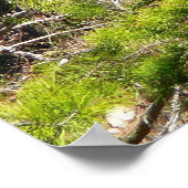 森の中の愛らしい鹿自然写真 ポスター (角)