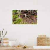 森の中の愛らしい鹿自然写真 ポスター (キッチン)