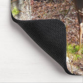 森の中の愛らしい鹿自然写真 マウスパッド (コーナー)