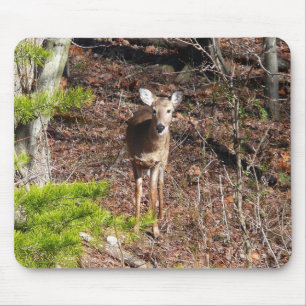 森の中の愛らしい鹿自然写真 マウスパッド