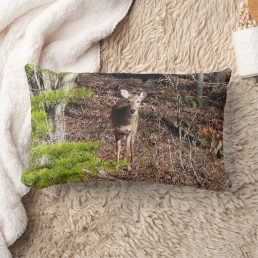 森の中の愛らしい鹿自然写真 ランバークッション (ブランケット)