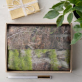 森の中の愛らしい鹿自然写真 薄葉紙 (ギフト)