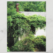 森の中の捨てられたホワイトハウス (正面)