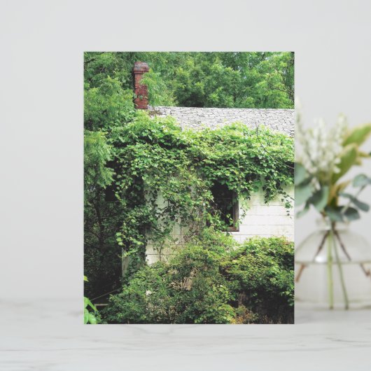 森の中の捨てられたホワイトハウス (スタンド正面)