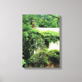 森の中の捨てられたホワイトハウス キャンバスプリント