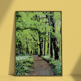 森の中の散歩 ポスター