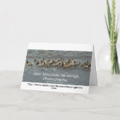 森の中の新しい赤ん坊おめでとう カード (裏面)