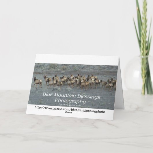 森の中の新しい赤ん坊おめでとう カード (裏面)