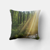 森の中の日の出 クッション (裏面)