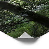 森の中の日光 ポスター (角)