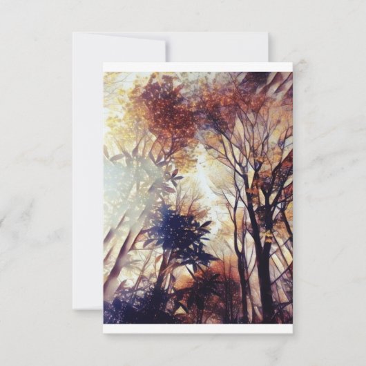 森の中の星 招待状 (正面)