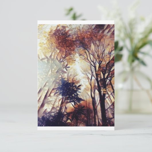 森の中の星 招待状 (スタンド正面)