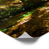 森の中の橋 ポスター (角)