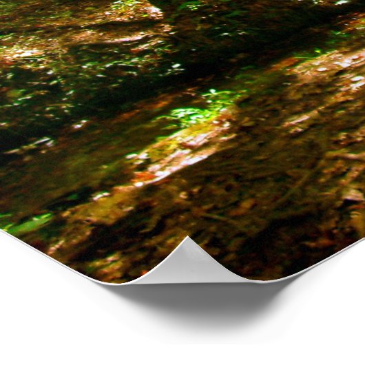 森の中の橋 ポスター (角)