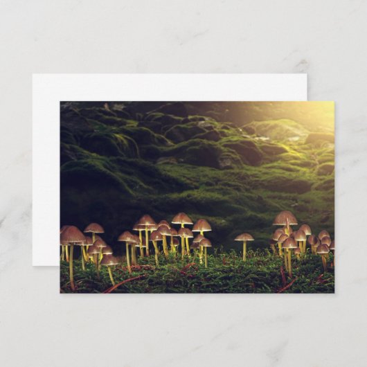 森の中の熟した野生のキノコ サンキューカード (正面/裏面)