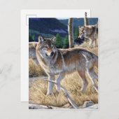 森の中の狼の絵画群れ ポストカード (正面/裏面)