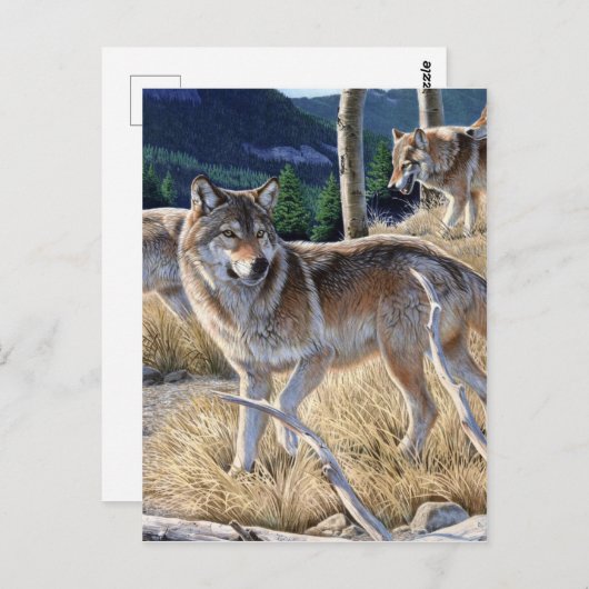 森の中の狼の絵画群れ ポストカード (正面/裏面)