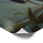 森の中の狼 ポスター (コーナー)