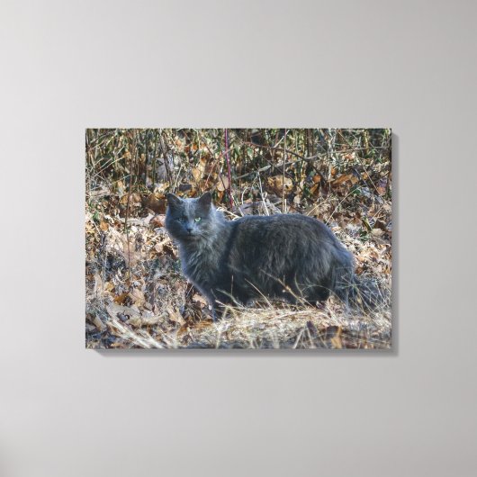 森の中の猫 キャンバスプリント (正面)