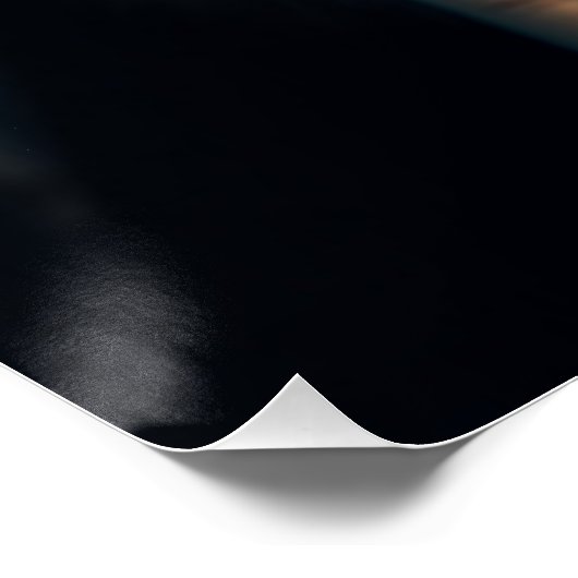 森の中の白熊 ポスター (コーナー)