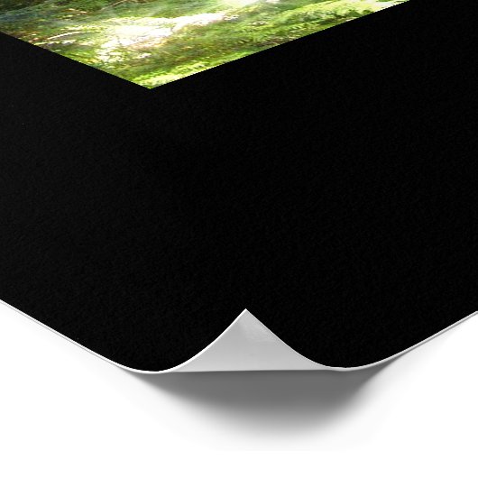 森の中の神秘的な日光フォトアートポスター ポスター (角)