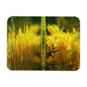 森の中の秋の木 マグネット (横)