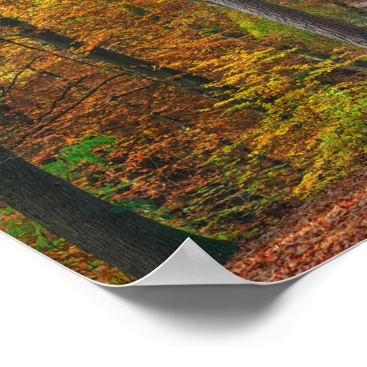 森の中の紅葉の木 ポスター (角)