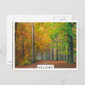 森の中の紅葉の木 ポストカード (正面/裏面)