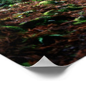 森の中の線路を訓練する ポスター (角)