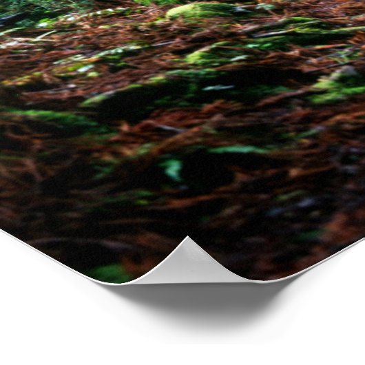 森の中の線路を訓練する ポスター (角)