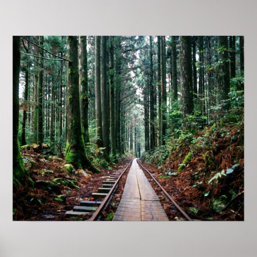 森の中の線路を訓練する ポスター (正面)