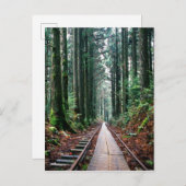森の中の線路を訓練する ポストカード (正面/裏面)