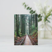 森の中の線路を訓練する ポストカード (スタンド正面)