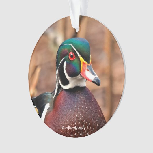 森の中の美しいオスの森の鴨 オーナメント (正面)
