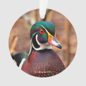 森の中の美しいオスの森の鴨 オーナメント (正面)