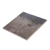 森の中の美しいバック タイル (側面)