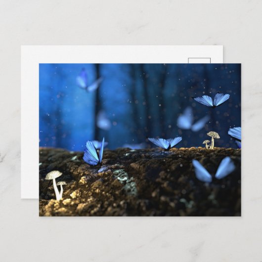 森の中の美しい青い蝶 ポストカード (正面/裏面)