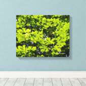 森の中の葉太陽の丘 キャンバスプリント (インサイチュ (ウッドフロア))