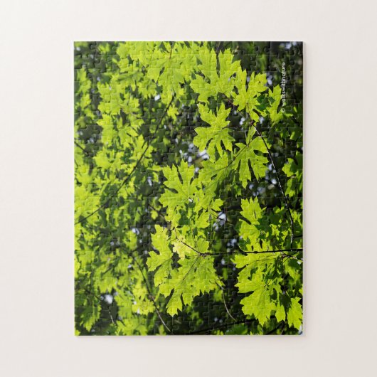 森の中の葉太陽の丘 ジグソーパズル (縦)