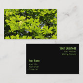 森の中の葉太陽の丘 名刺 (正面/裏面)