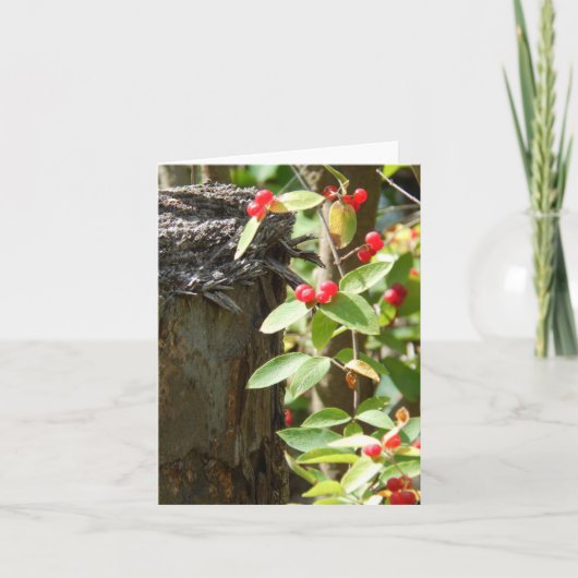 森の中の赤 カード (正面)