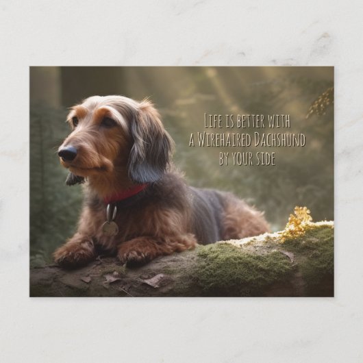 森の中の金髪のダシュント ポストカード (正面)