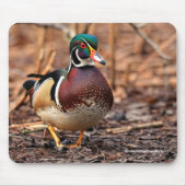 森の中の雄のアヒル マウスパッド (正面)