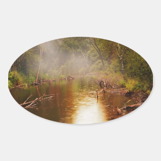 森の中の雨 楕円形シール (正面)