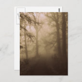 森の中の霧の朝の散歩 – 写真 ポストカード (正面/裏面)
