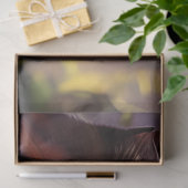 森の中の青い目の猫 薄葉紙 (ギフト)