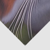 森の中の青い目の猫 薄葉紙 (詳細)